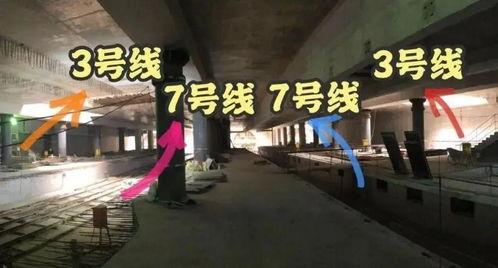 广东地铁爆料事件最新,揭秘背后真相与公众关注焦点